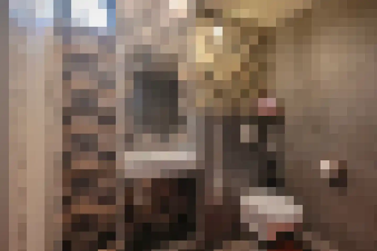 Fabriekswijk 6 De Krim thumbnail 16