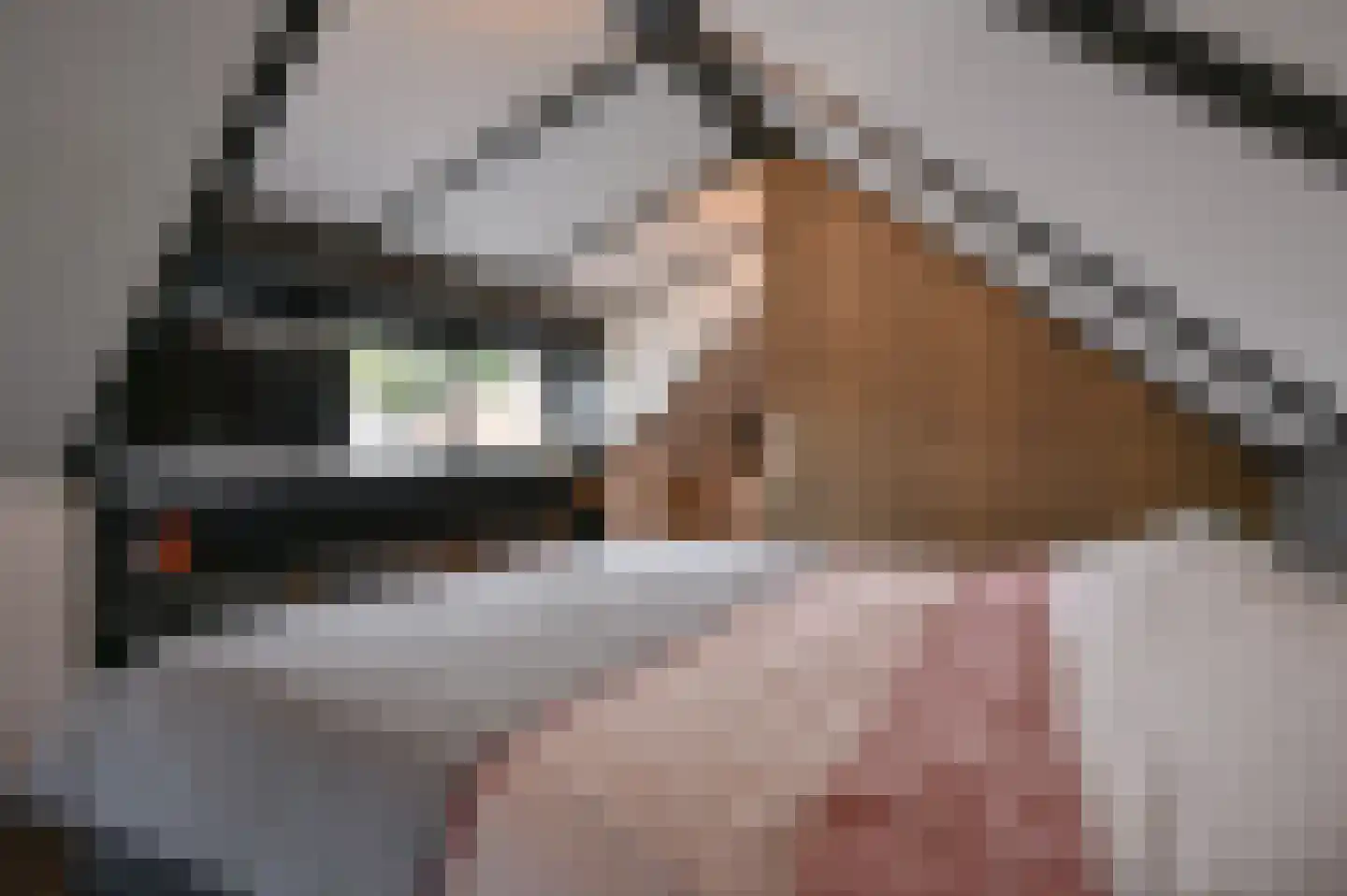 Fabriekswijk 6 De Krim thumbnail 22