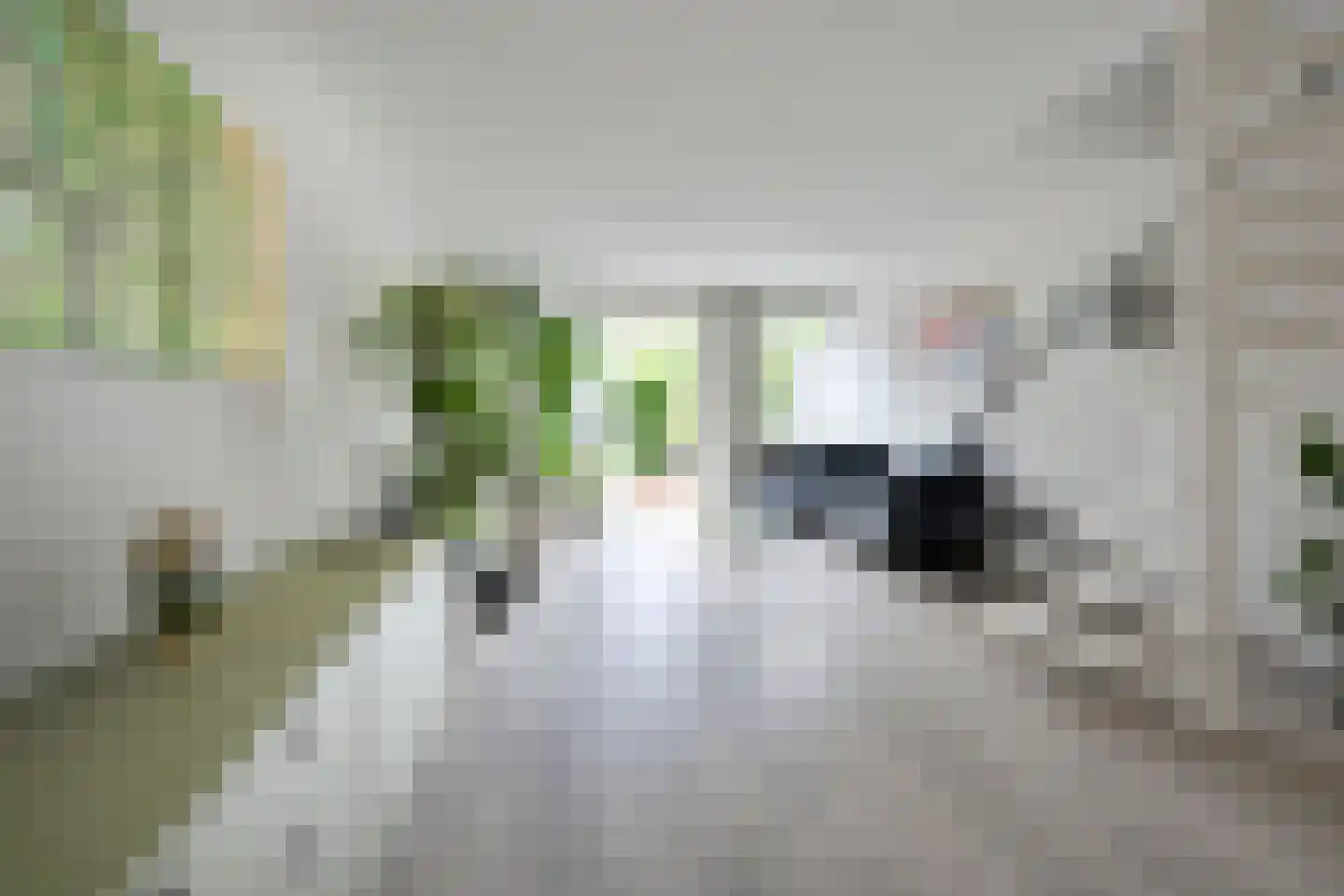 Fabrikeursstraat 12 Hilversum thumbnail 5