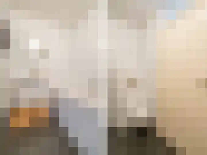 Fabrikeursstraat 14 Hilversum thumbnail 27
