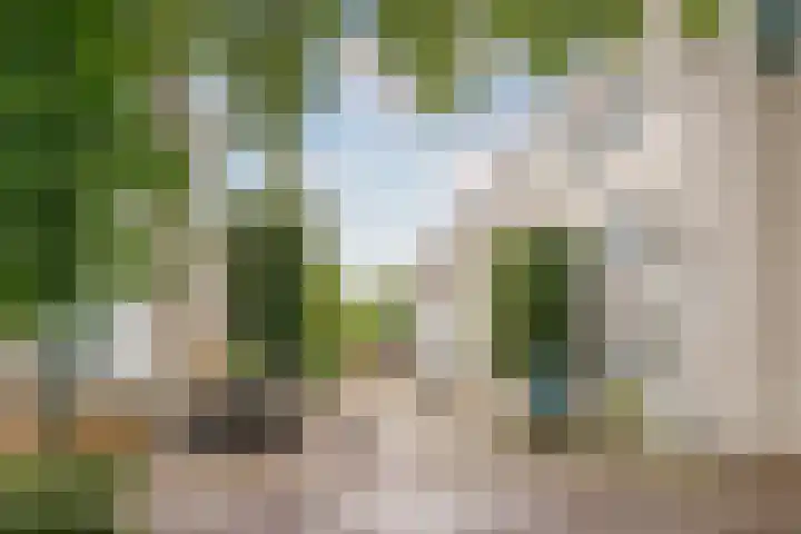 Fabrikeursstraat 14 Hilversum thumbnail 30
