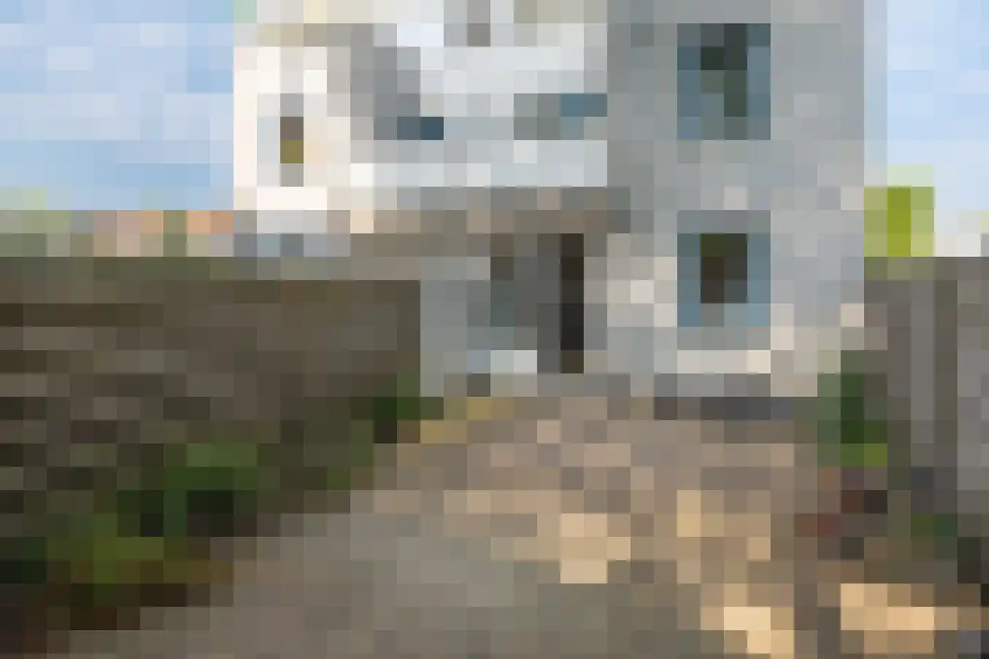 Fabrikeursstraat 28 Hilversum thumbnail 25