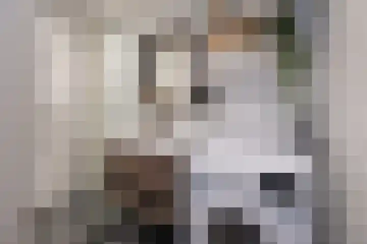 Fabrikeursstraat 28 Hilversum thumbnail 28