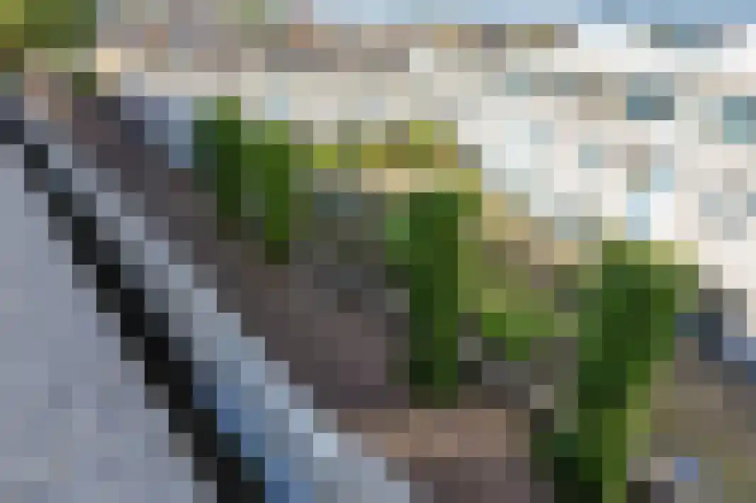 Fabrikeursstraat 60 Hilversum thumbnail 5