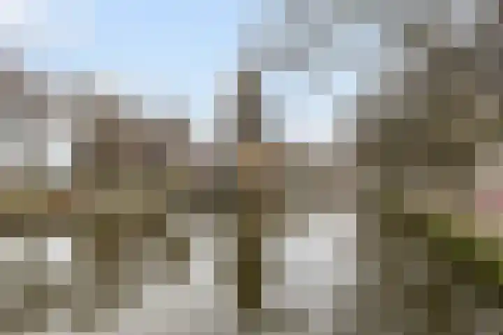 Fabristraat 34 B Schiedam thumbnail 38