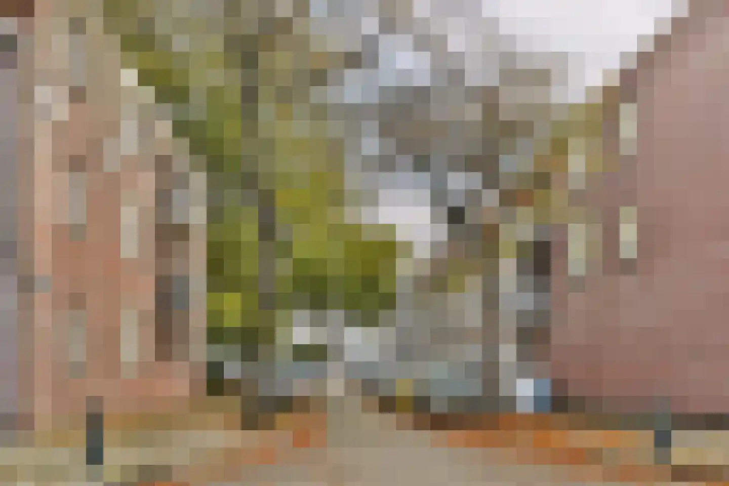 Fabristraat 73 A Schiedam thumbnail 29