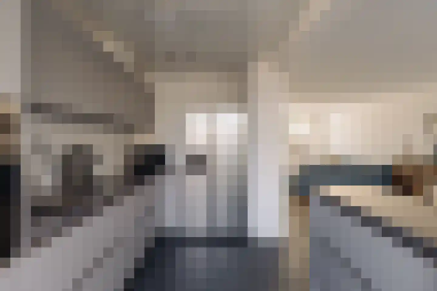 Fabritiuslaan 15 Wassenaar thumbnail 12