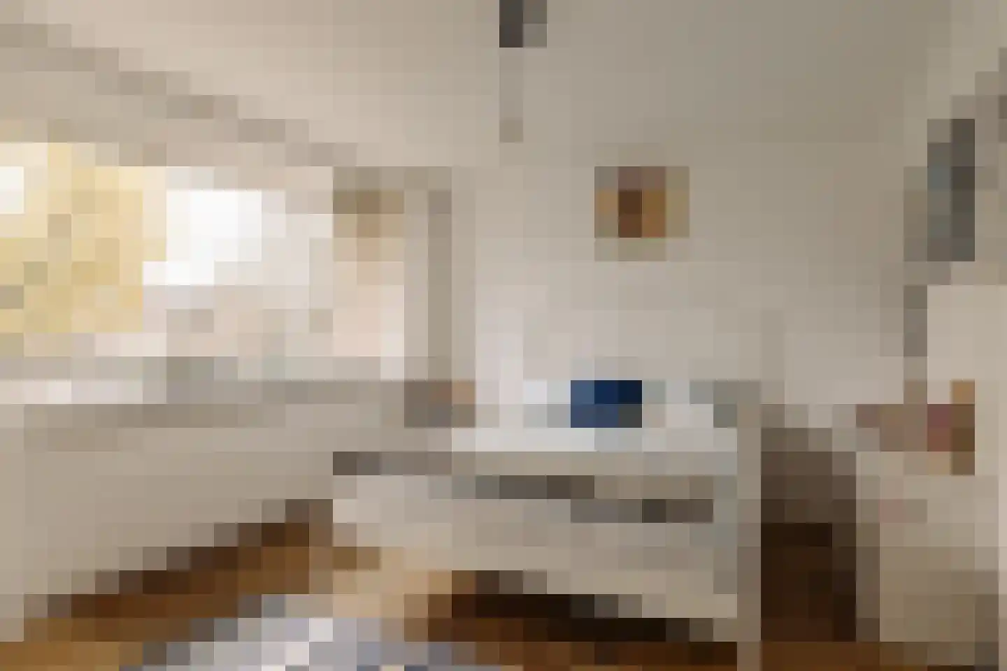Fabritiuslaan 15 Wassenaar thumbnail 21