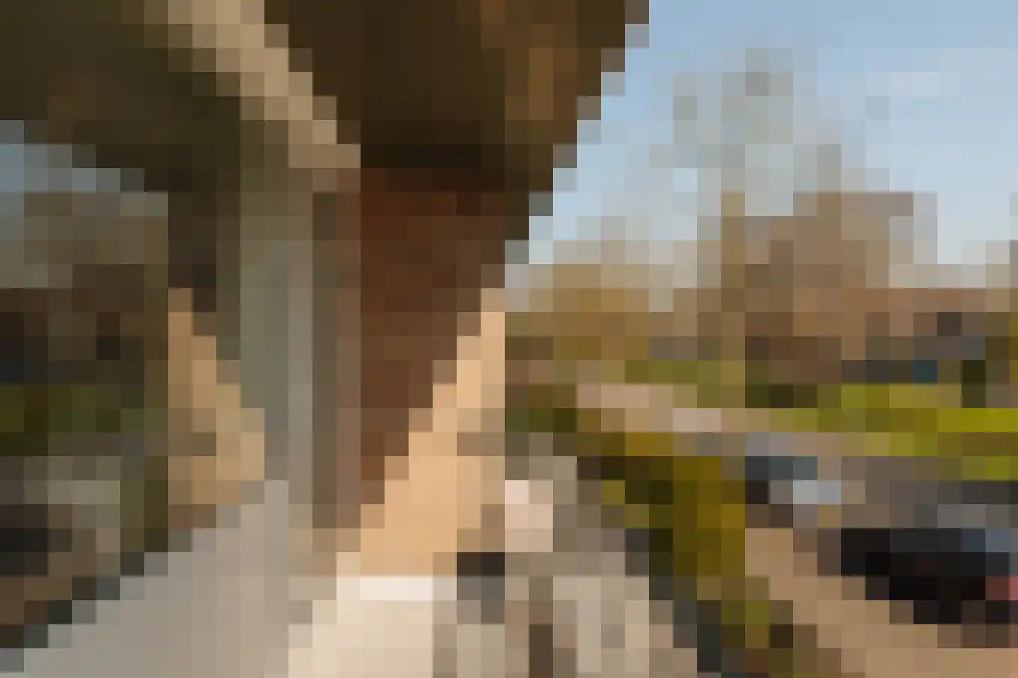 Fabritiuslaan 15 Wassenaar thumbnail 23