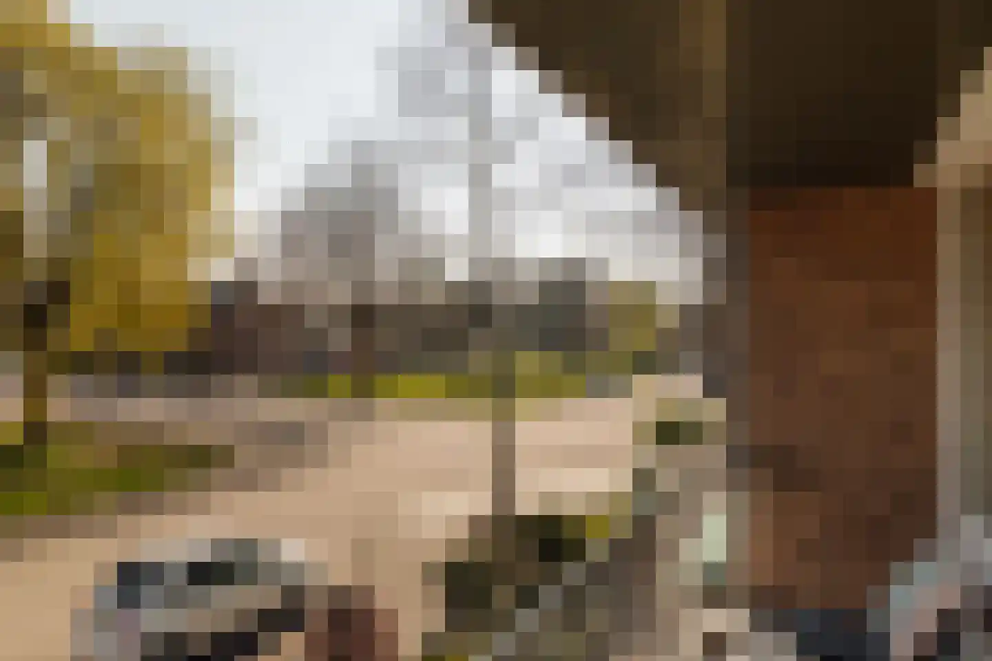 Fabritiuslaan 15 Wassenaar thumbnail 25