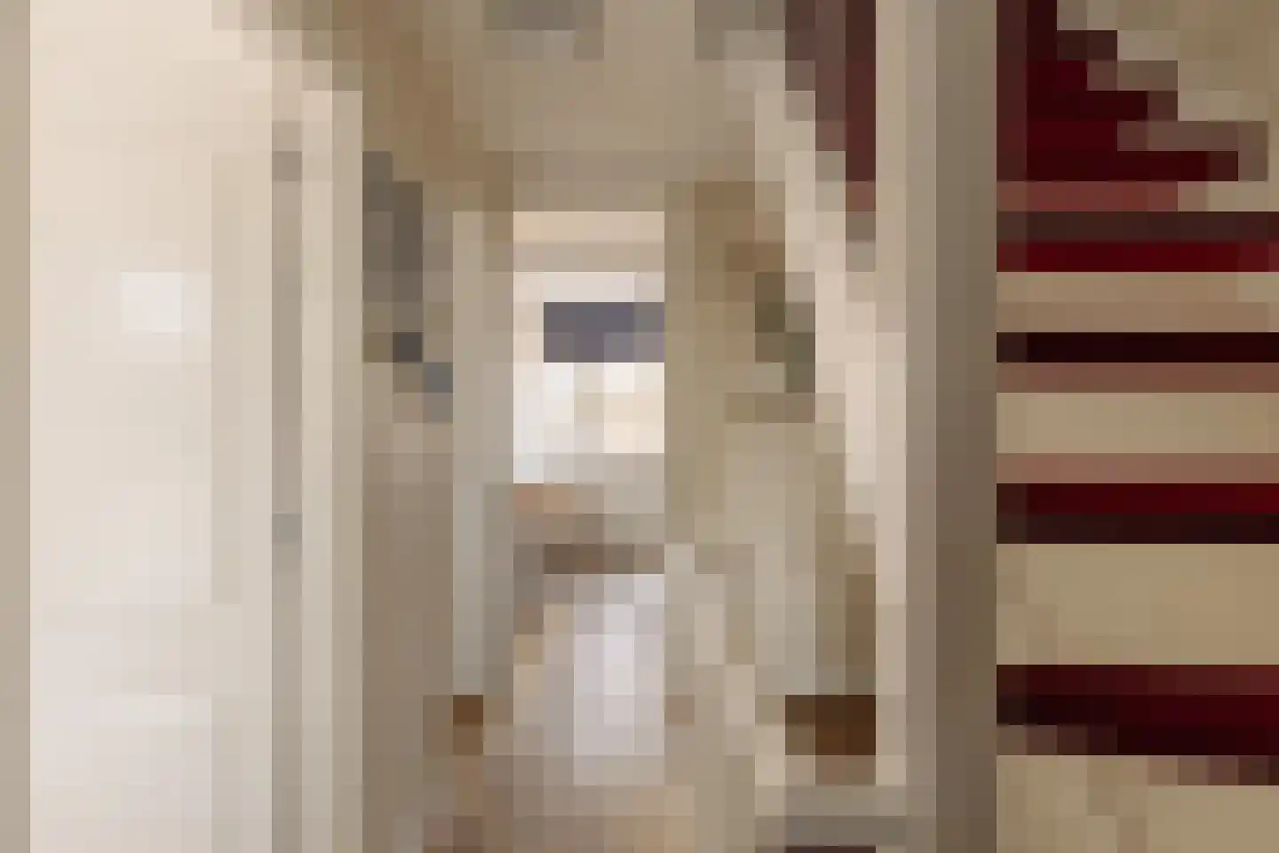Fabritiuslaan 15 Wassenaar thumbnail 31