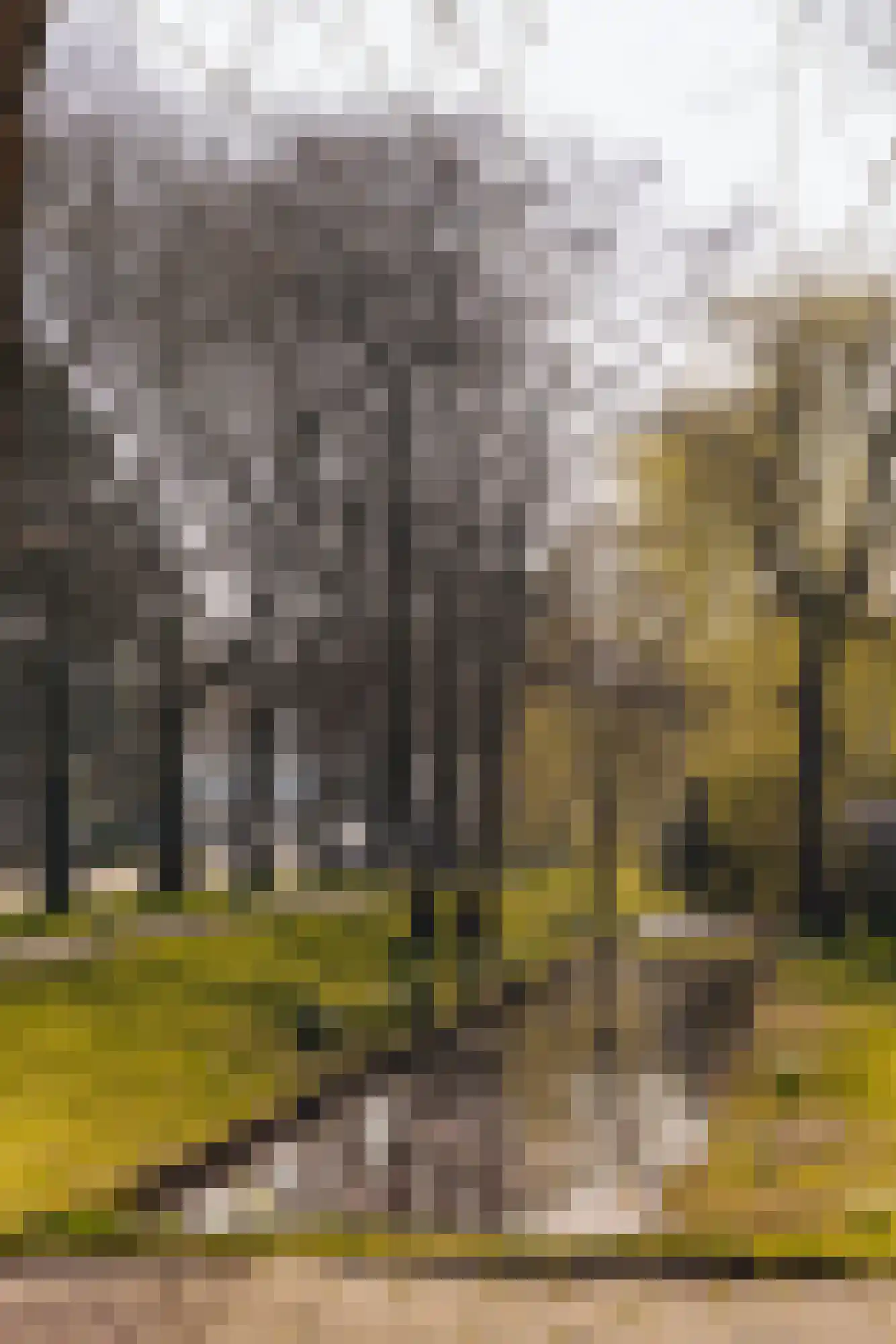 Fabritiuslaan 15 Wassenaar thumbnail 39