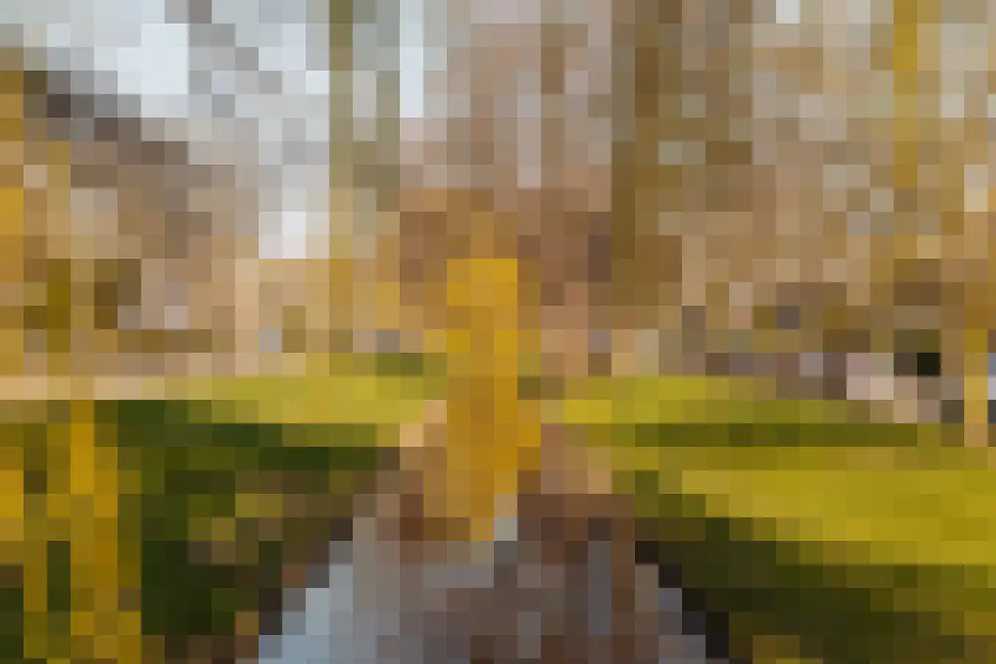 Fabritiuslaan 15 Wassenaar thumbnail 40