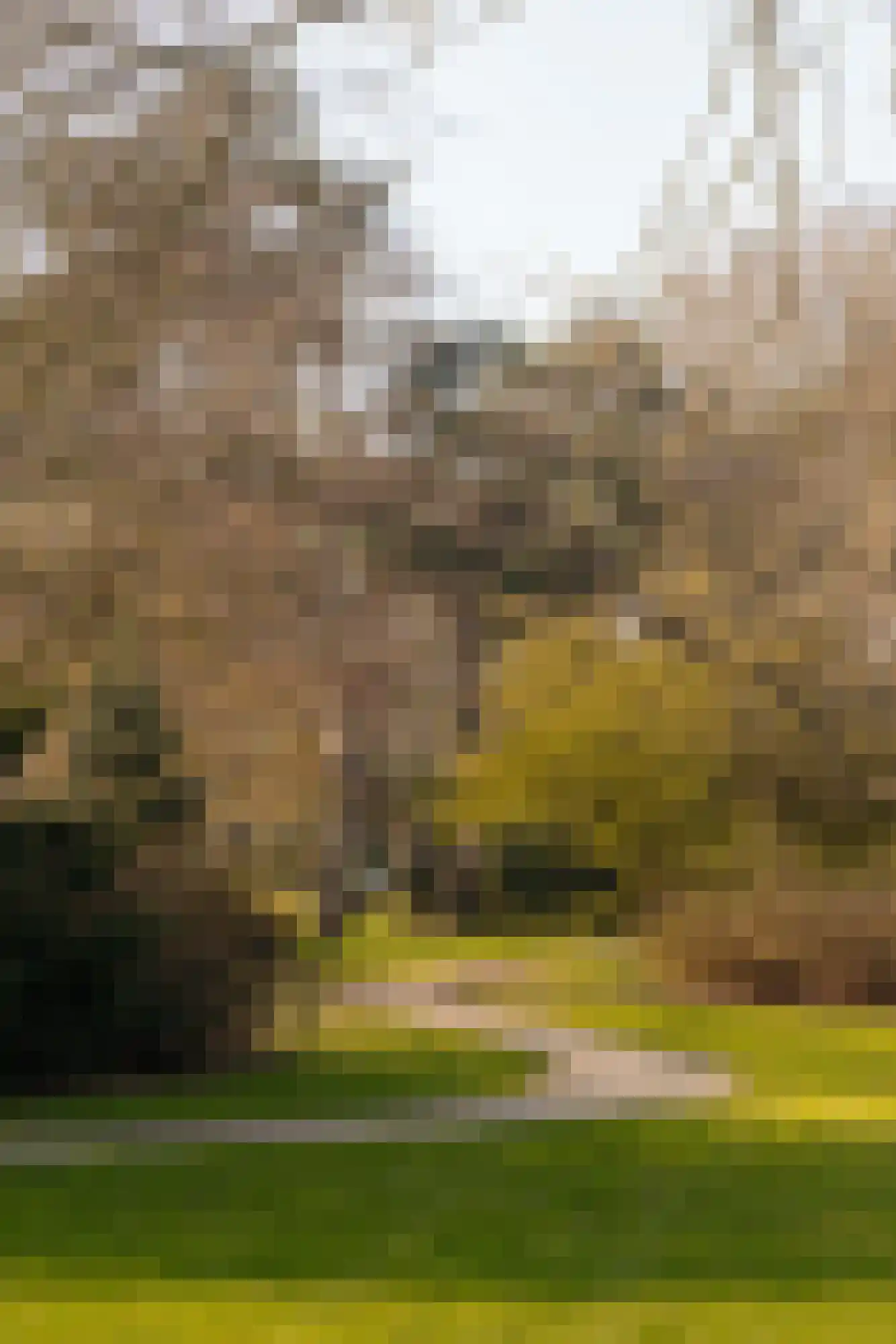 Fabritiuslaan 15 Wassenaar thumbnail 41