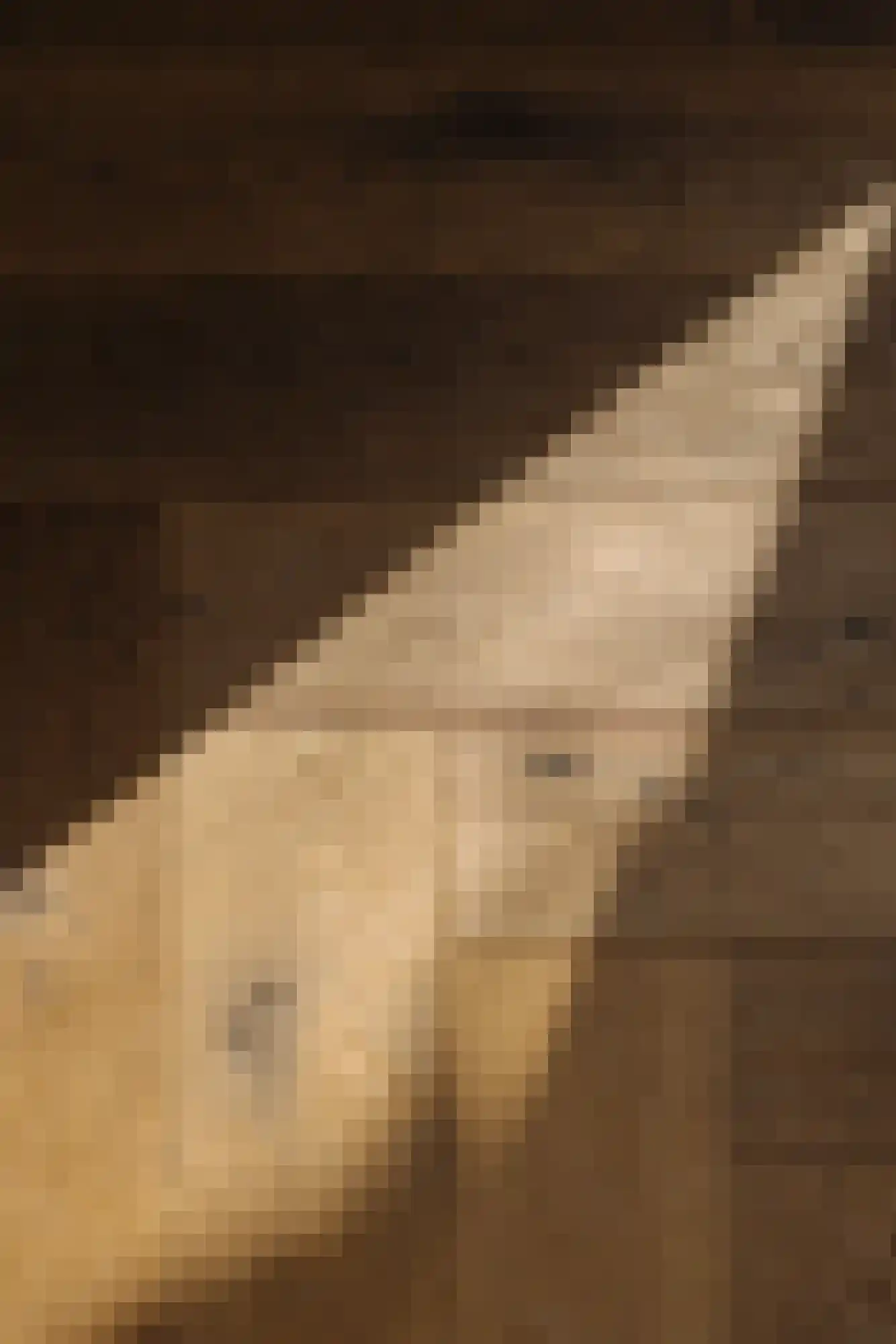 Fabritiuslaan 15 Wassenaar thumbnail 8