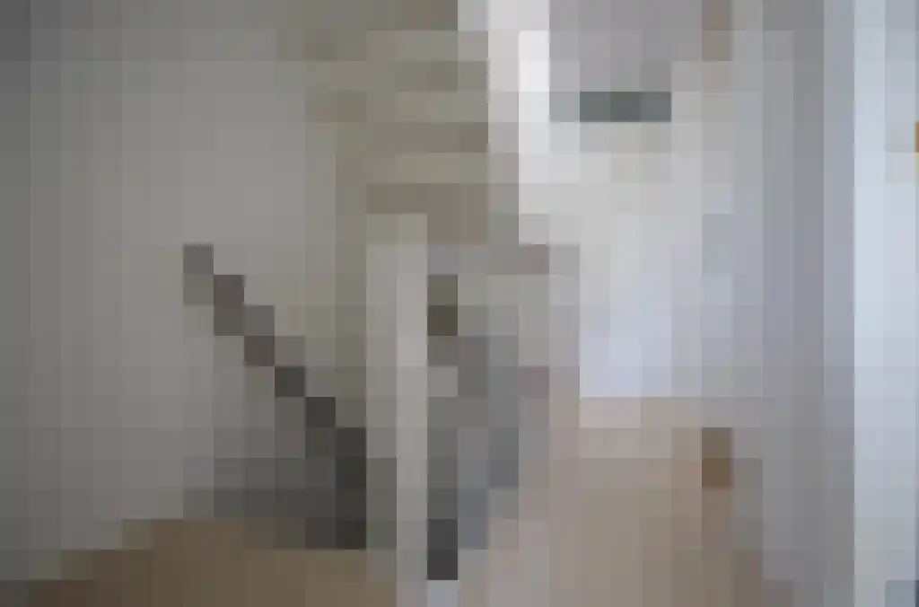 Fabritiuslaan 3 Wassenaar thumbnail 10