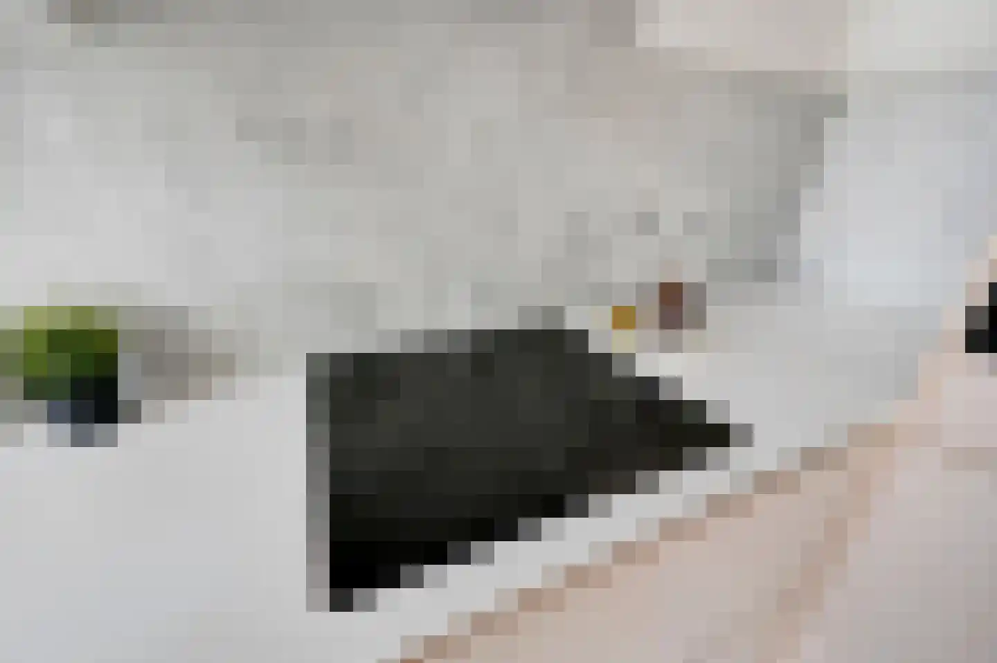 Fabritiuslaan 3 Wassenaar thumbnail 10