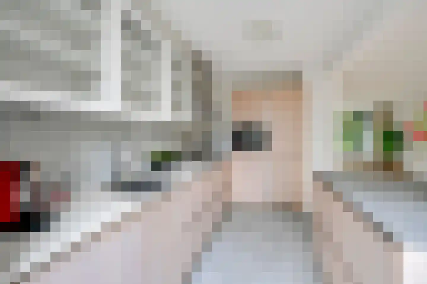 Fabritiuslaan 3 Wassenaar thumbnail 11