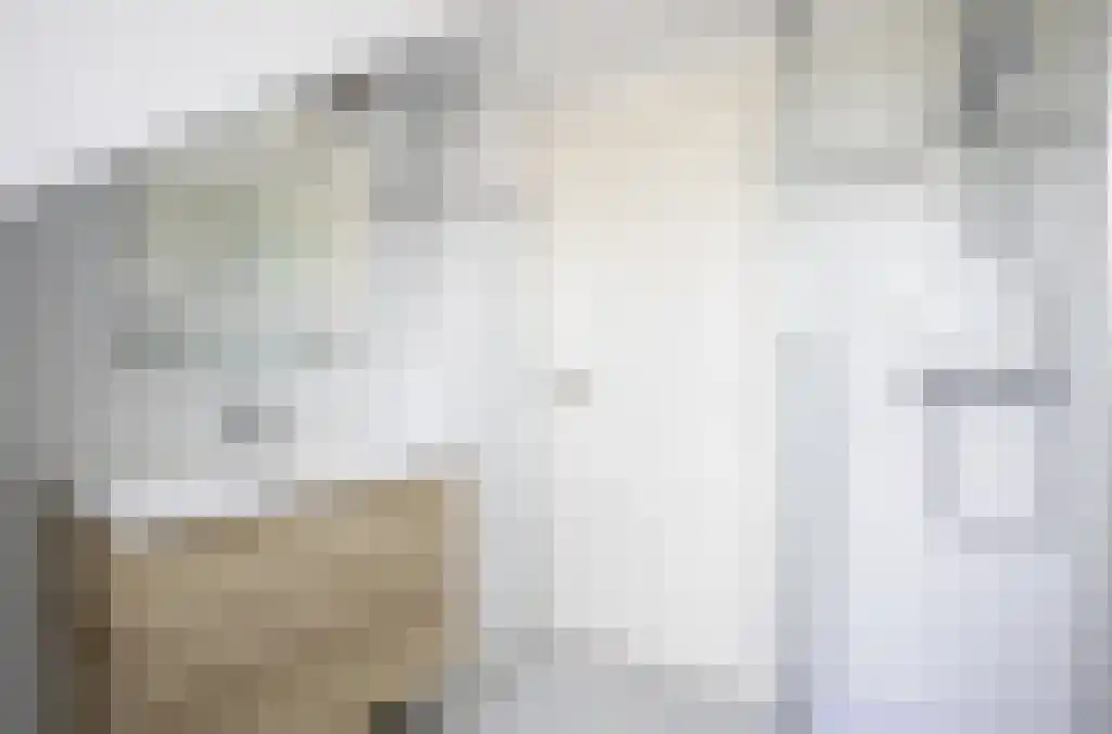 Fabritiuslaan 3 Wassenaar thumbnail 27