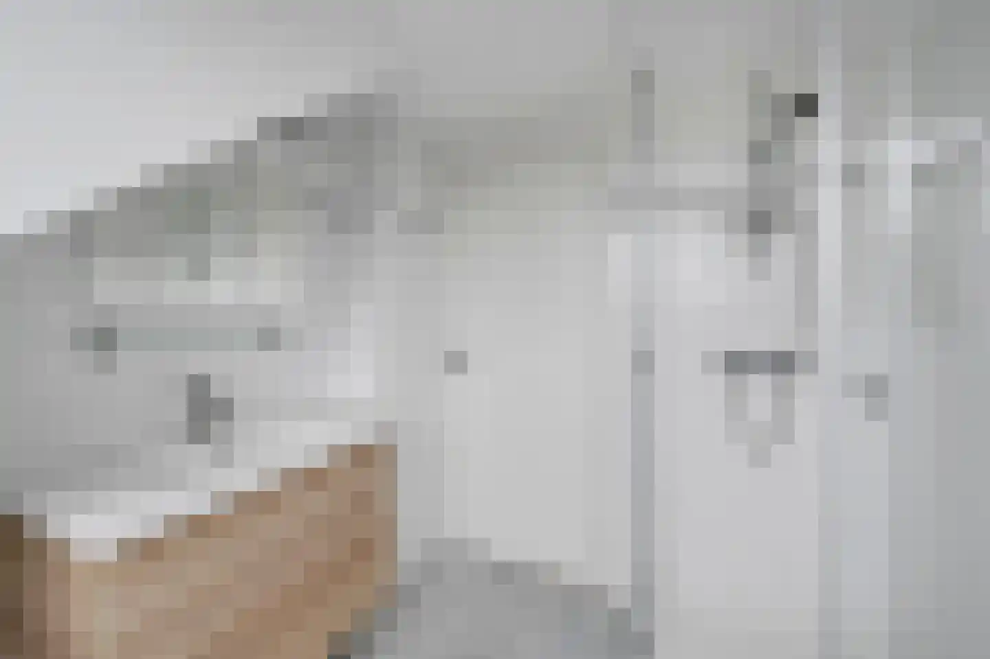 Fabritiuslaan 3 Wassenaar thumbnail 27