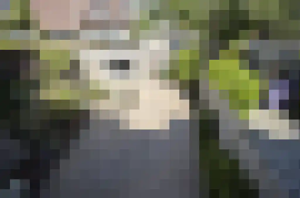 Fabritiuslaan 3 Wassenaar thumbnail 29