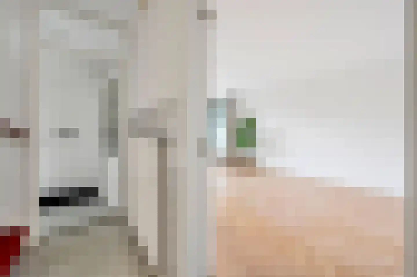Fabritiuslaan 3 Wassenaar thumbnail 5