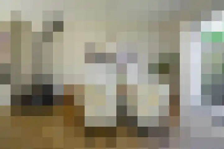 Fabritiuslaan 31 Hilversum thumbnail 11