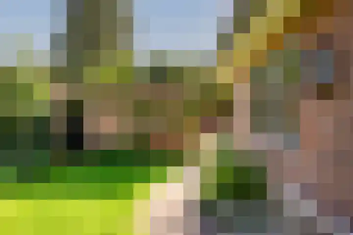 Fabritiuslaan 31 Hilversum thumbnail 13