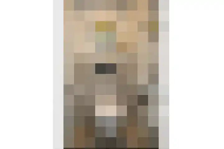 Fabritiuslaan 31 Hilversum thumbnail 16
