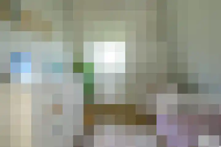 Fabritiuslaan 31 Hilversum thumbnail 22