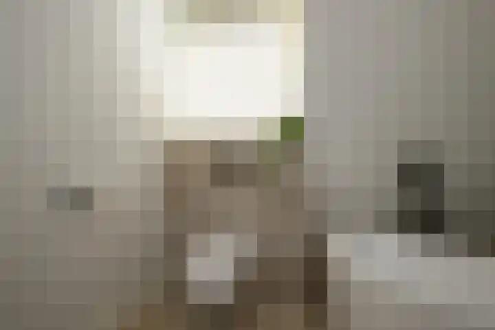 Fabritiuslaan 31 Hilversum thumbnail 24
