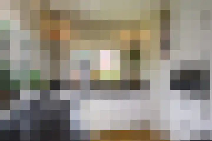 Fabritiuslaan 31 Hilversum thumbnail 4
