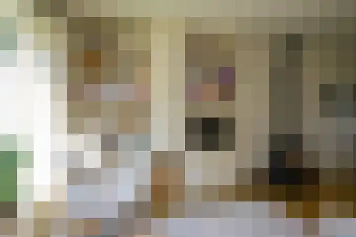 Fabritiuslaan 31 Hilversum thumbnail 5