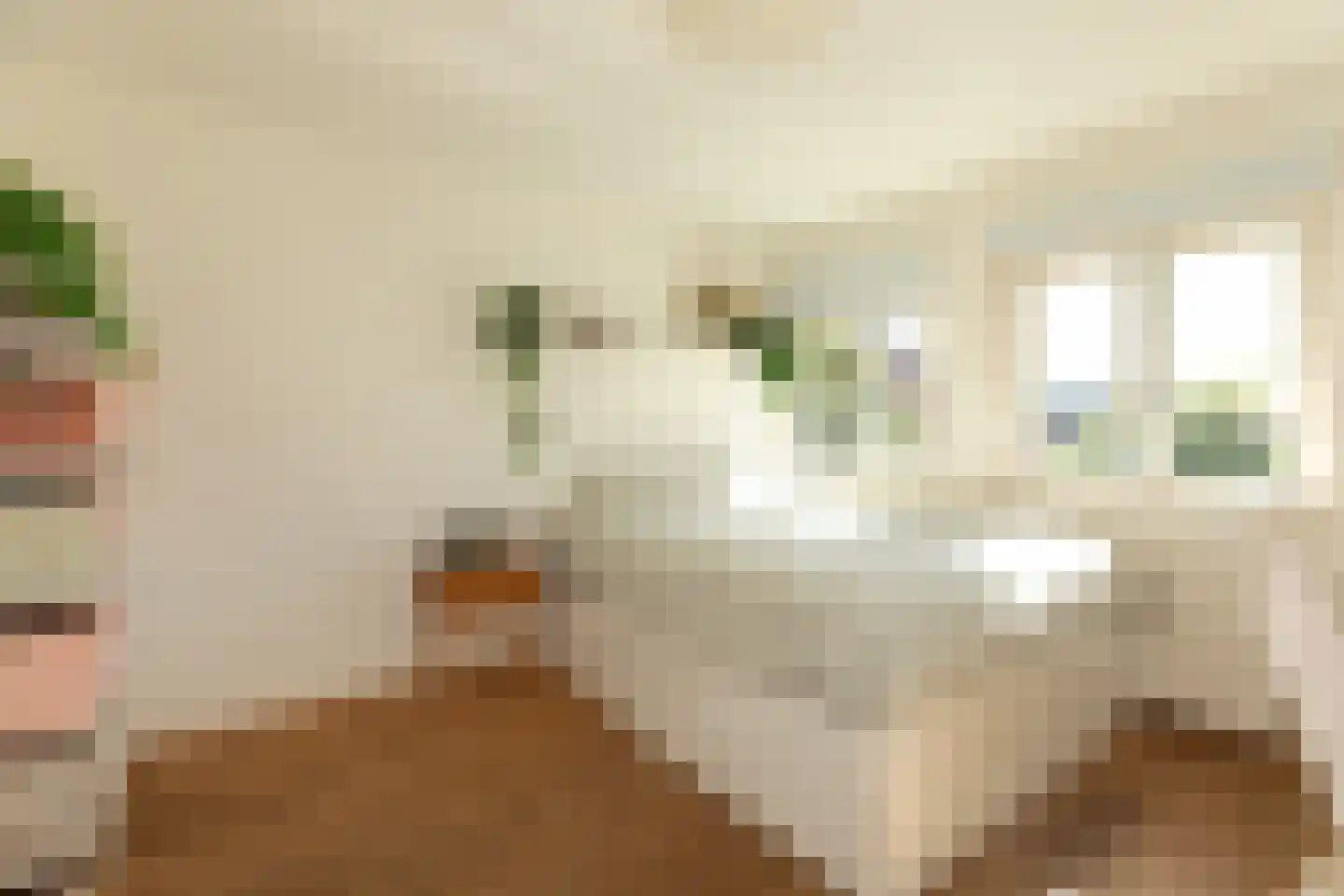 Fabritiuslaan 48 Hilversum thumbnail 17