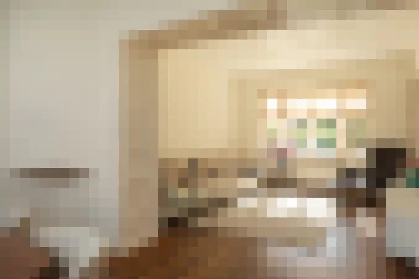 Fabritiuslaan 48 Hilversum thumbnail 4