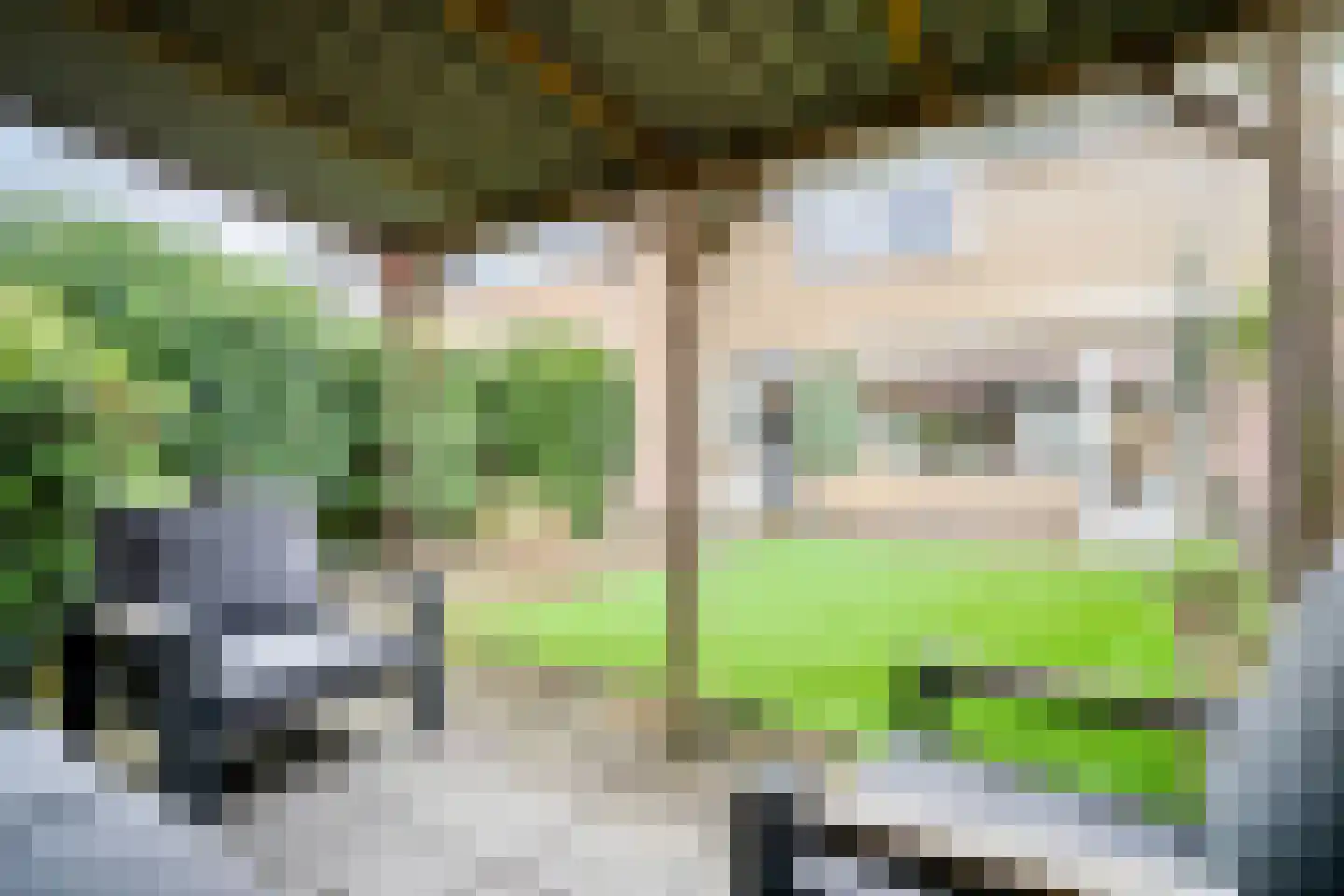 Fabritiuslaan 50 Wassenaar thumbnail 20