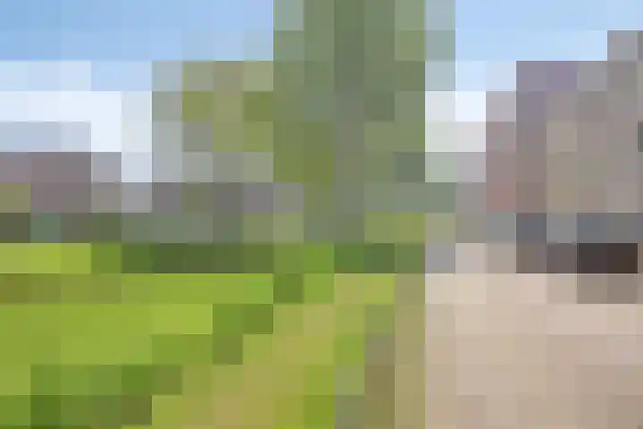 Fabritiuslaan 50 Wassenaar thumbnail 22