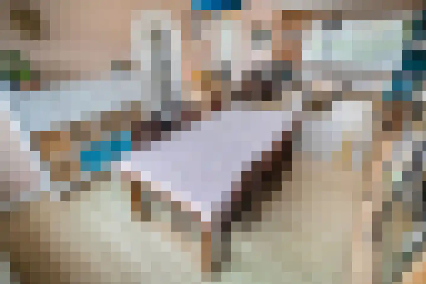 Fabritiuslaan 50 Wassenaar thumbnail 6