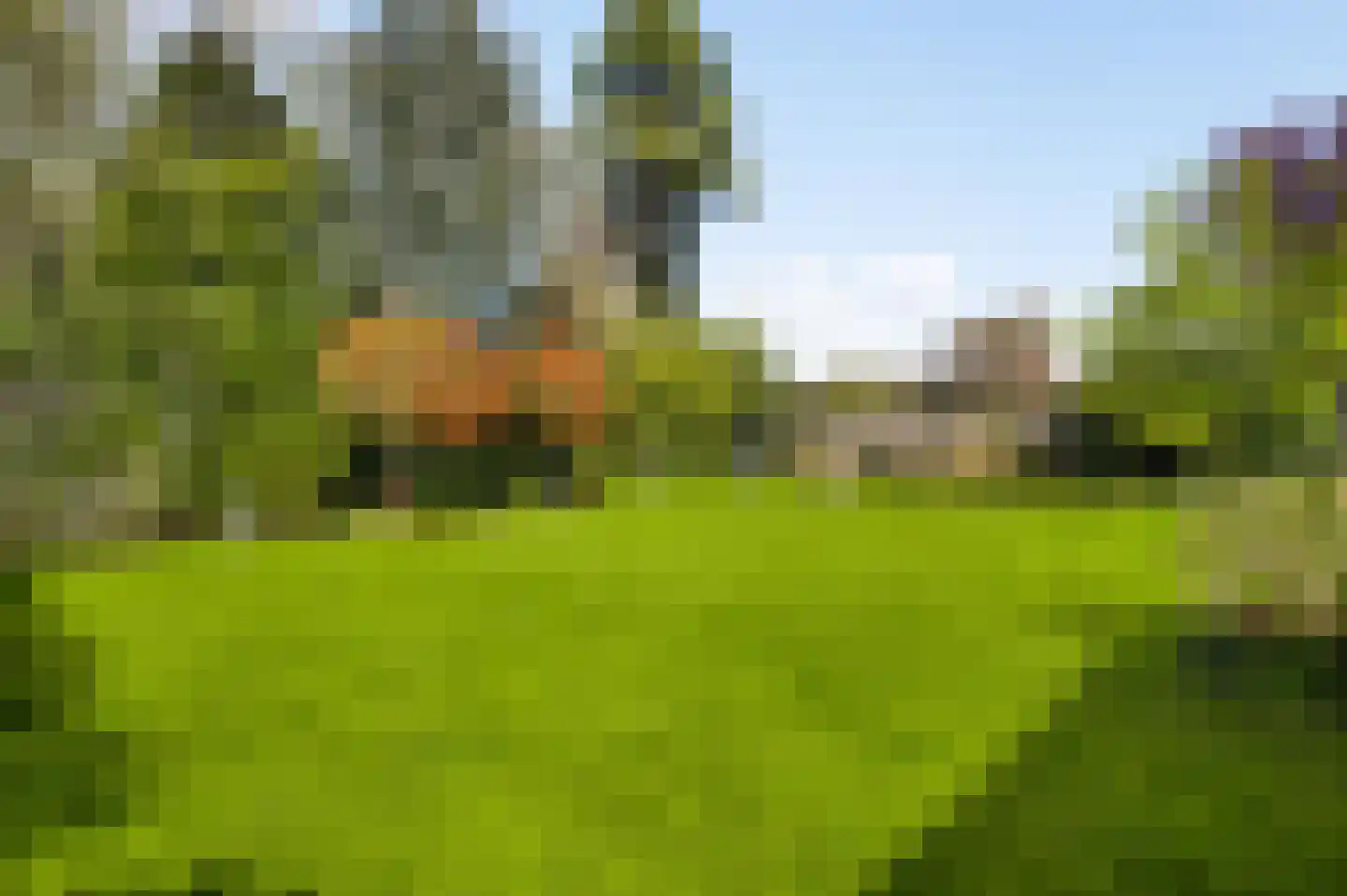 Fabritiusstraat 13 Sweikhuizen thumbnail 4