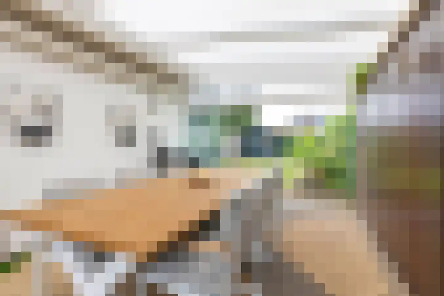Fabritiusstraat 19 Kerkrade thumbnail 25