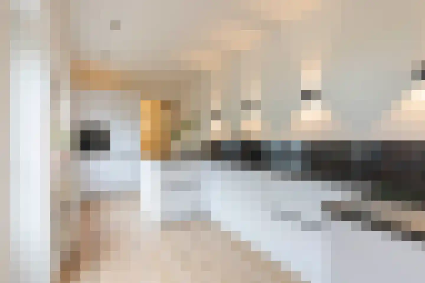 Fabritiusstraat 19 Kerkrade thumbnail 8
