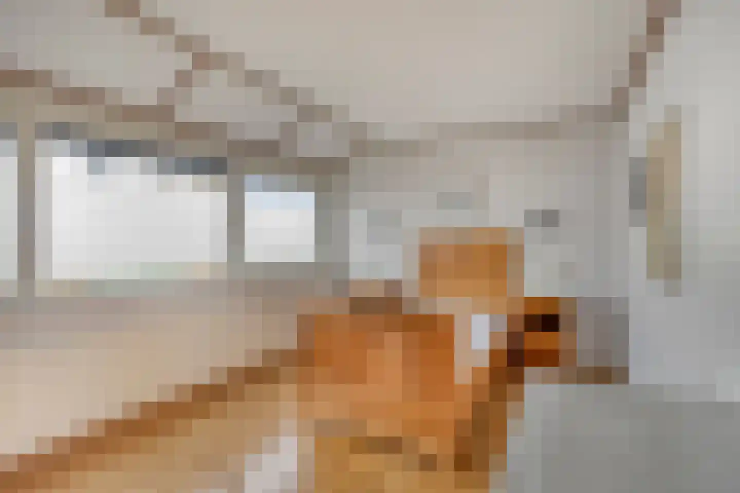 Fabritiusstraat 24 Kerkrade thumbnail 16