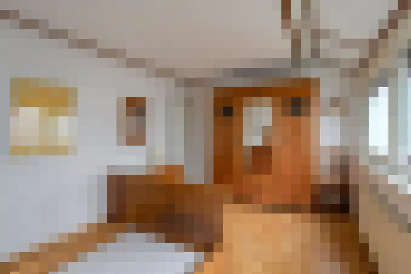 Fabritiusstraat 24 Kerkrade thumbnail 17