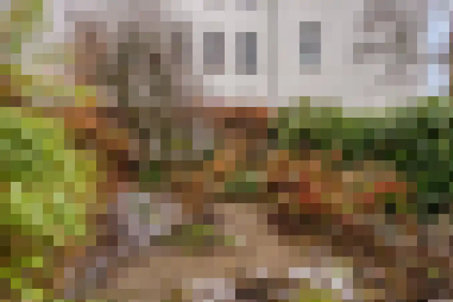 Fabritiusstraat 24 Kerkrade thumbnail 31