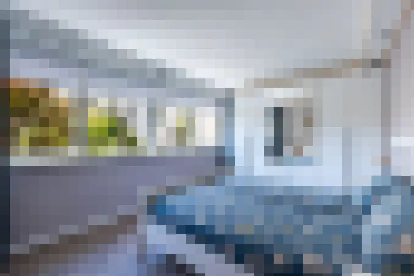 Fabritiusstraat 26 Kerkrade thumbnail 16