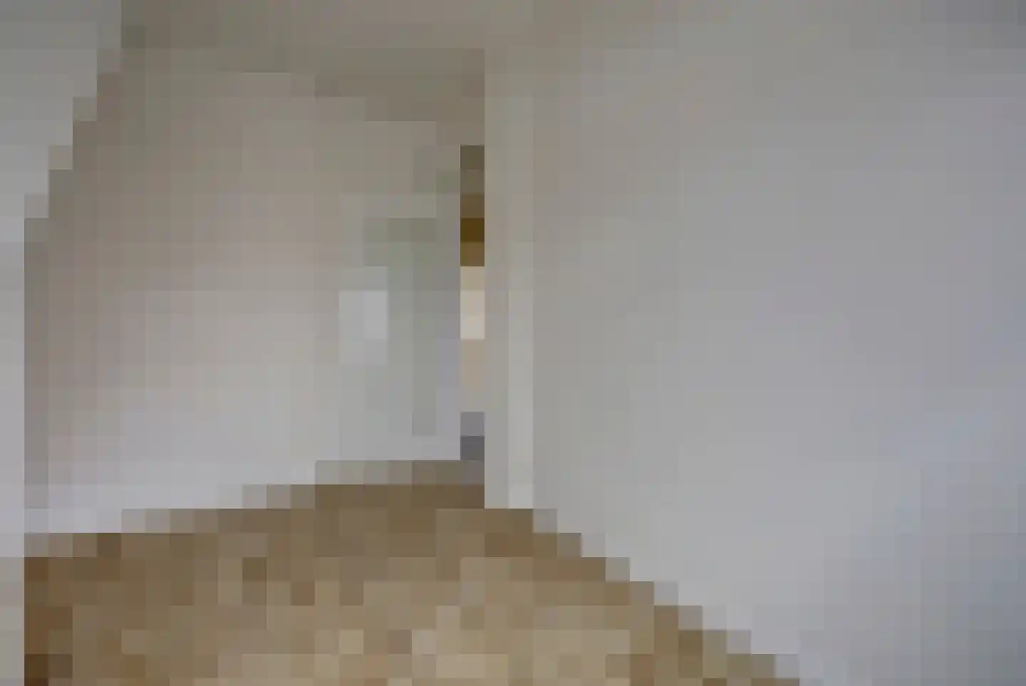 Fabritiusstraat 36 Den Haag thumbnail 8