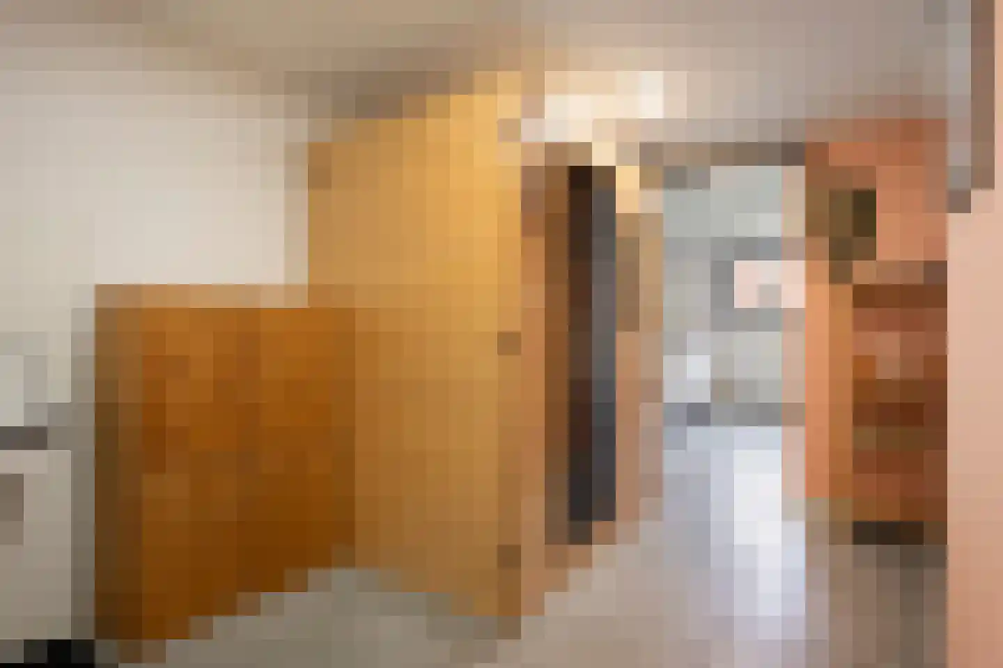 Fabritiusstraat 4 Sweikhuizen thumbnail 12