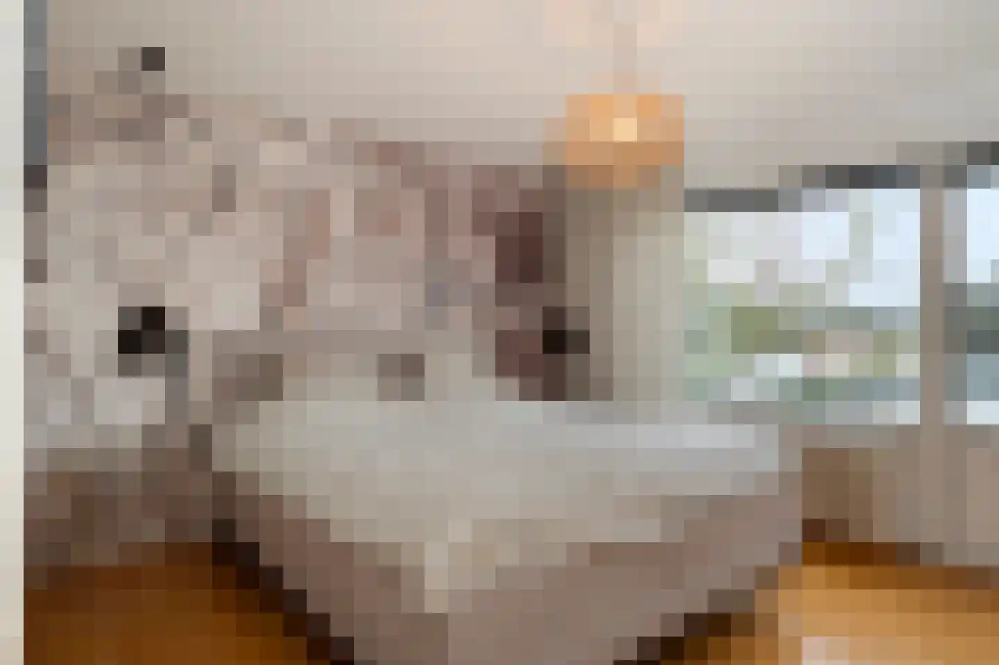 Fabritiusstraat 4 Sweikhuizen thumbnail 15