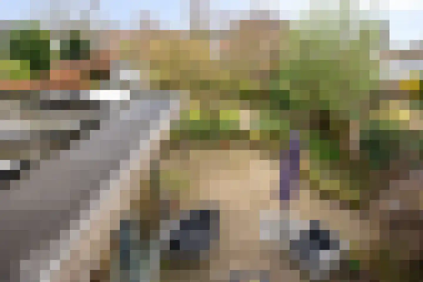 Fabritiusstraat 4 Sweikhuizen thumbnail 22