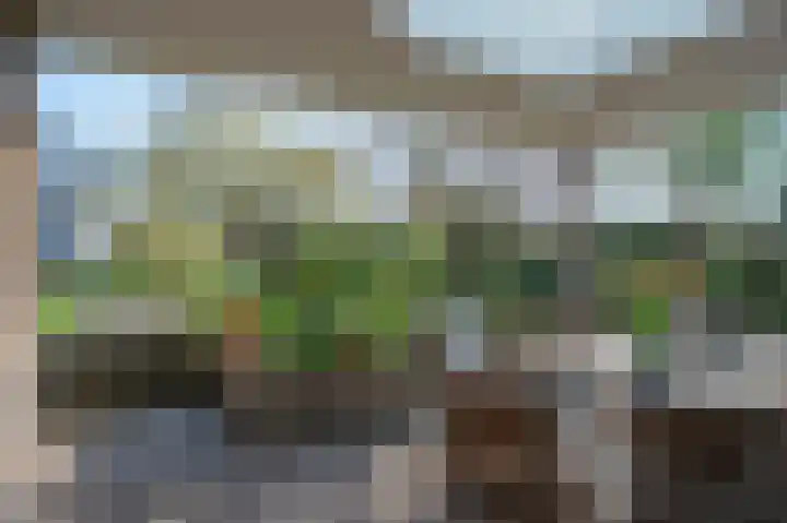 Fabritiusstraat 4 Sweikhuizen thumbnail 24